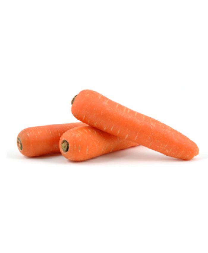 Морковь столовая свежая